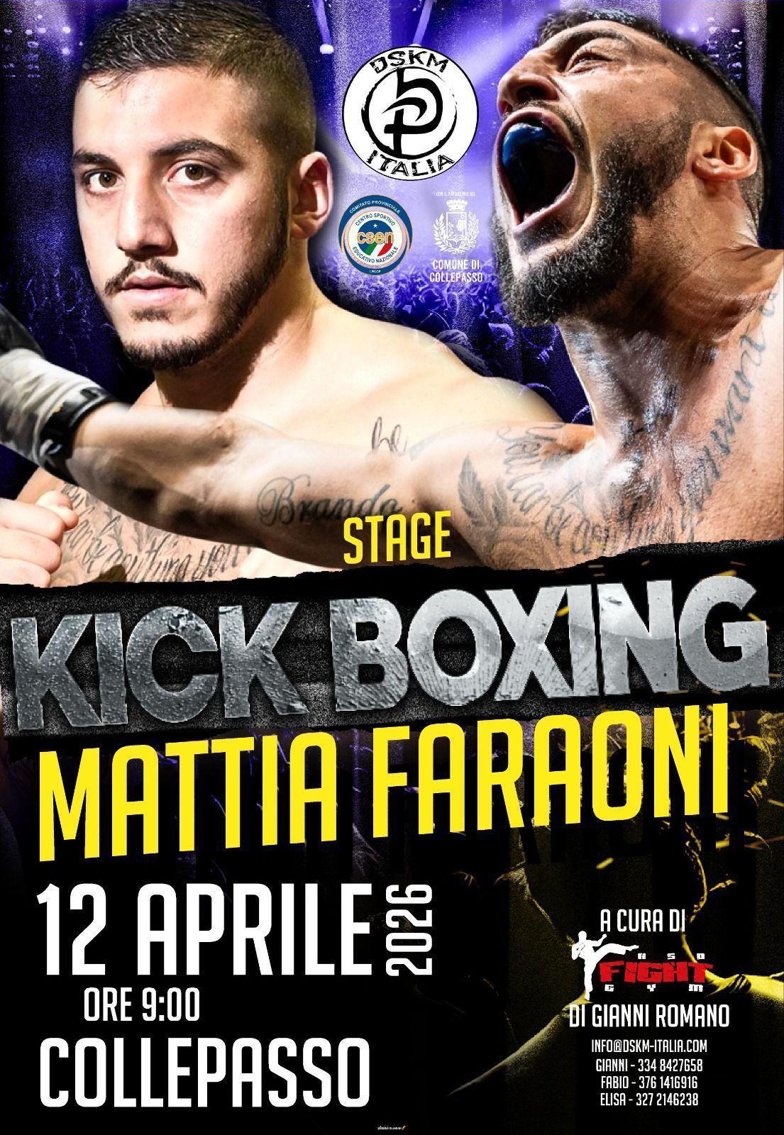 STAGE MATTIA FARAONI